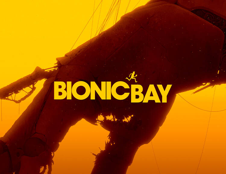 Bionic Bay (PC)
Bionic Bay (PC)