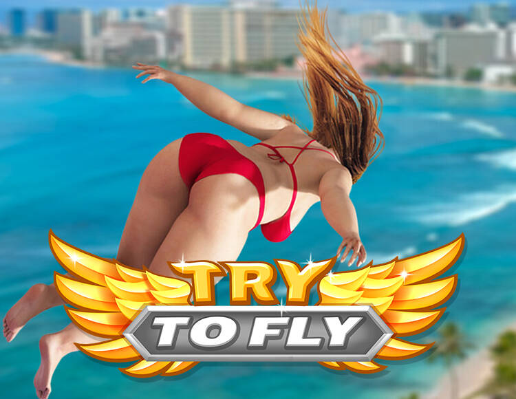 Try to Fly (PC)
Try to Fly (PC)