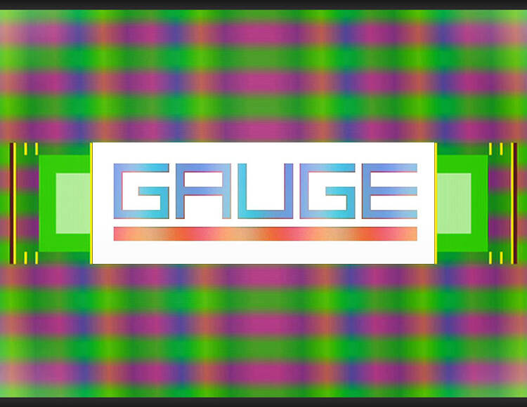 Gauge (PC)
Gauge (PC)
