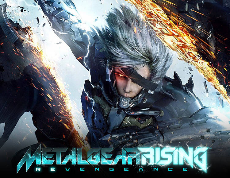 METAL GEAR RISING: REVENGEANCE (PC)
METAL GEAR RISING: REVENGEANCE (PC)