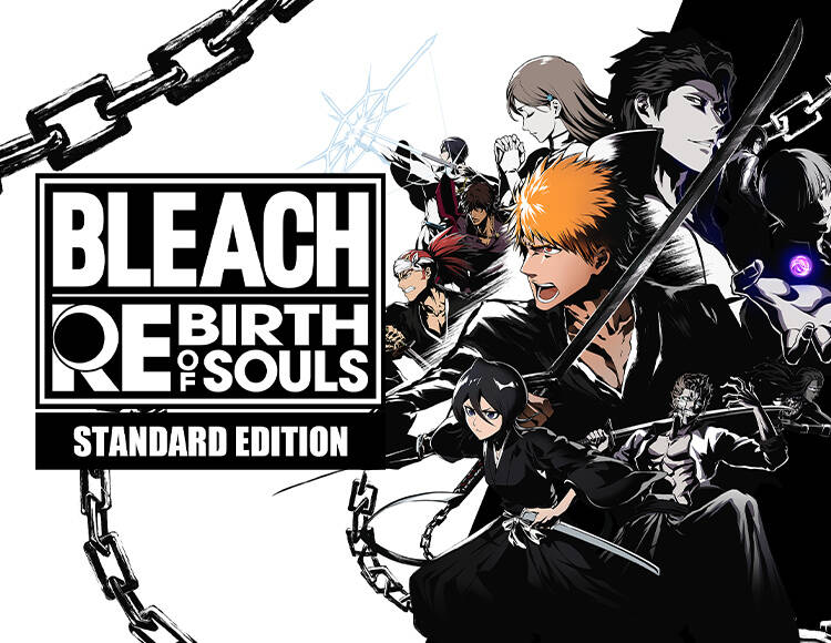 

BLEACH Rebirth of Souls (PC)
