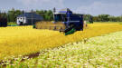 Скриншот №1 из Farm Manager 2021 (PC)