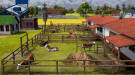 Скриншот №5 из Farm Manager 2021 (PC)
