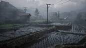 Скриншот №1 из Silent Hill f - Digital Deluxe (Версия для СНГ [ Кроме РФ и РБ ]) (PC)