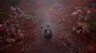 Скриншот №5 из Silent Hill f - Digital Deluxe (Версия для СНГ [ Кроме РФ и РБ ]) (Предзаказ) (PC)