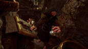 Скриншот №9 из Ghost of a tale (PC)