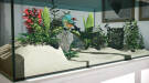 Скриншот №5 из Aquarium Designer (PC)