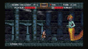 Скриншот №1 из Castlevania Dominus Collection (Версия для СНГ [ Кроме РФ и РБ ]) (PC)