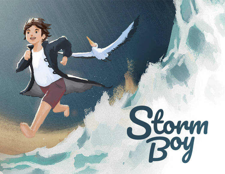 

Storm Boy (PC)