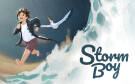 Скриншот №0 из Storm Boy (PC)