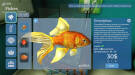 Скриншот №1 из Aquarist (PC)
