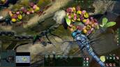 Скриншот №5 из Empires of the Undergrowth (PC)