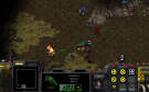 Скриншот №1 из Starcraft Remastered [Цифровая версия] (PC)