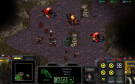 Скриншот №7 из Starcraft Remastered [Цифровая версия] (PC)