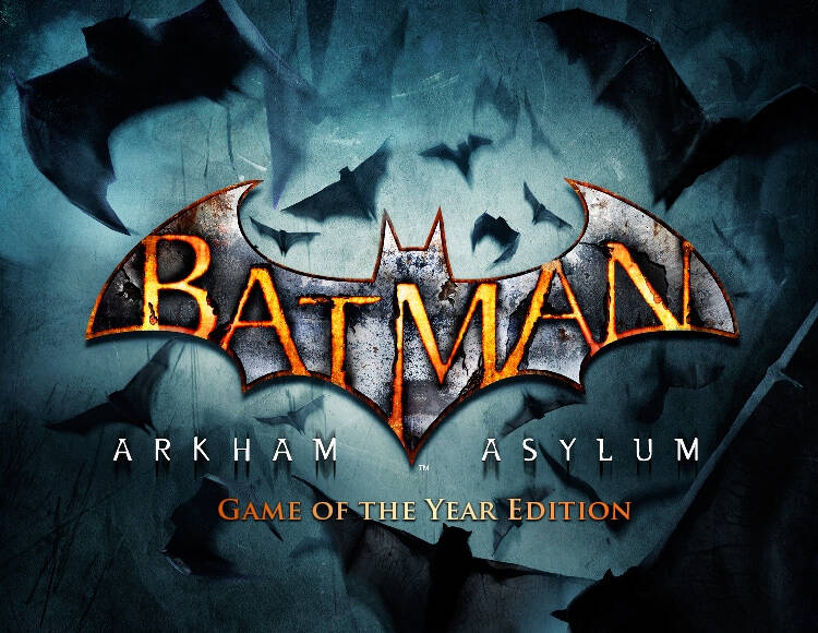 

Batman: Arkham Asylum - Game of the Year Edition (PC)