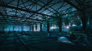 Скриншот №1 из The Park (PC)