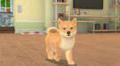 Скриншот №1 из My Universe - Puppies & Kittens (PC)