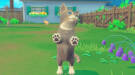 Скриншот №3 из My Universe - Puppies & Kittens (PC)