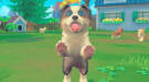 Скриншот №5 из My Universe - Puppies & Kittens (PC)