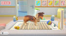 Скриншот №3 из My Universe - Pet Clinic Cats & Dogs (PC)