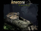 Скриншот №1 из Amerzone: The Explorer’s Legacy (PC)