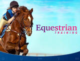 Скриншот №1 из Equestrian Training (PC)
