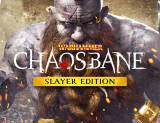 Скриншот №1 из Warhammer: Chaosbane Slayer Edition (PC)