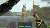 Скриншот №4 из Ultimate Fishing Simulator - Taupo Lake (PC)