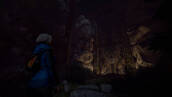 Скриншот №4 из Through the Woods - Artbook (PC)
