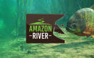 Скриншот №0 из Ultimate Fishing Simulator - Amazon River (PC)