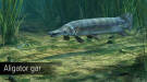 Скриншот №5 из Ultimate Fishing Simulator - Amazon River (PC)