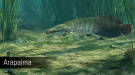 Скриншот №10 из Ultimate Fishing Simulator - Amazon River (PC)
