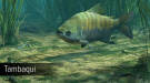 Скриншот №17 из Ultimate Fishing Simulator - Amazon River (PC)