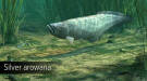 Скриншот №18 из Ultimate Fishing Simulator - Amazon River (PC)