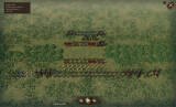 Скриншот №1 из Field of Glory: Empires (PC)