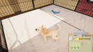 Animal Shelter - Puppies & Kittens DLC (PC) Скриншот №6 Скриншот №6 из Animal Shelter - Puppies & Kittens DLC (PC)