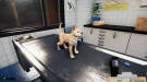 Animal Shelter - Puppies & Kittens DLC (PC) Скриншот №9 Скриншот №9 из Animal Shelter - Puppies & Kittens DLC (PC)