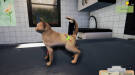 Animal Shelter - Puppies & Kittens DLC (PC) Скриншот №14 Скриншот №14 из Animal Shelter - Puppies & Kittens DLC (PC)