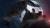 Скриншот №2 из Batman: Arkham Origins - Season Pass (PC)