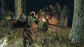 Скриншот №10 из DARK SOULS II: Scholar of the First Sin (PC)