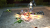 Скриншот №2 из Legend of Kay Anniversary (PC)
