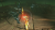 Скриншот №13 из Legend of Kay Anniversary (PC)