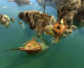 Скриншот №2 из The Guild II - Pirates of the European Seas (PC)