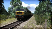 Скриншот №6 из Train Simulator: WSR Diesels Loco Add-On (PC)