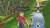 Скриншот №7 из Tales of Symphonia (PC)