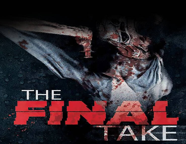 The Final Take (PC)