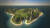 Скриншот №3 из Tropico 5 - T-Day (PC)