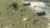 Скриншот №3 из Sudden Strike 4 (PC)