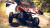 Скриншот №6 из V-Rally 4 (PC)