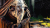 Скриншот №2 из Castlevania: Lords of Shadow – Ultimate Edition (PC)